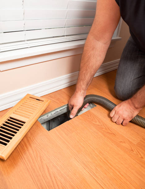 Best Local Air Duct Cleaning Services  in USA